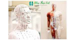 Read more about the article MERIDIANS – A CLOSE UP CONNECTION