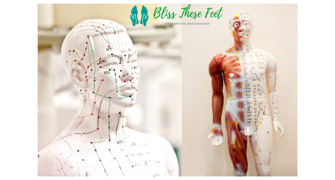 You are currently viewing MERIDIANS – A CLOSE UP CONNECTION