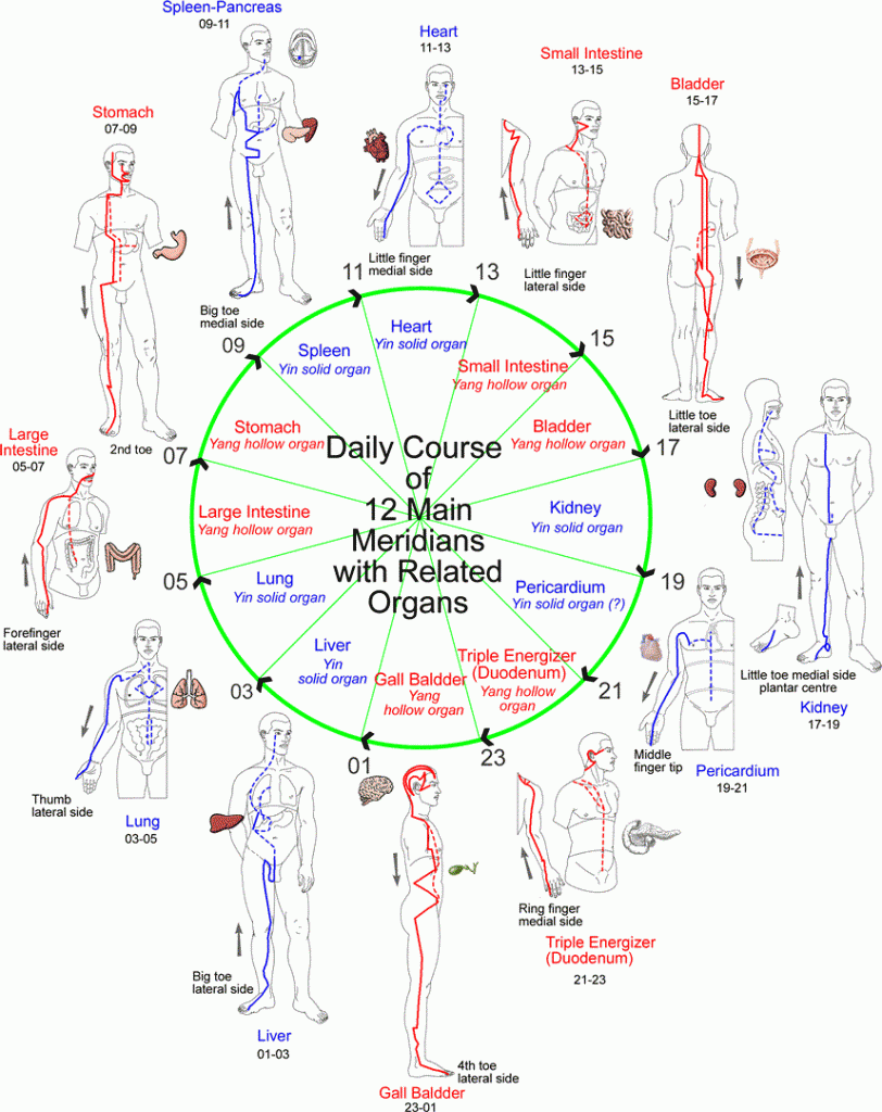 Daily-Meridians-Circuit-Bliss These Feet