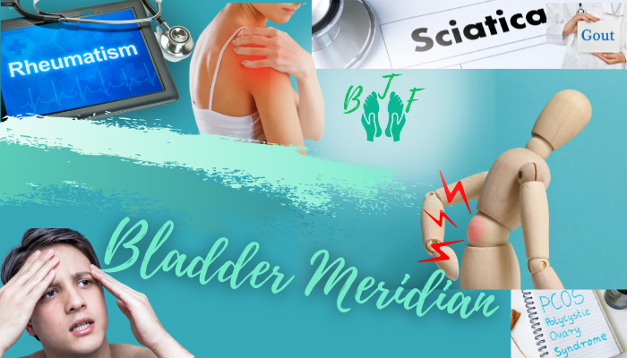 You are currently viewing The Bladder Meridian (pt1)
