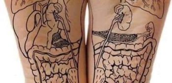 52816594_1181523798677366_8601005823688179712_n Full Reflexology Treatment